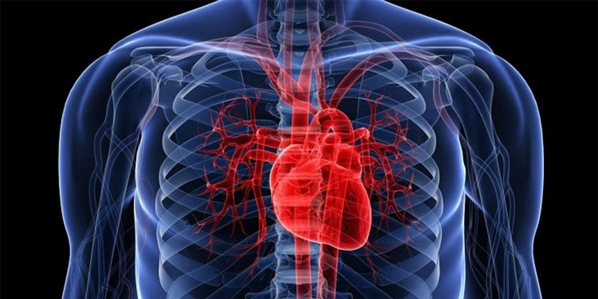 کدام درد قلب خطرناک است ؟