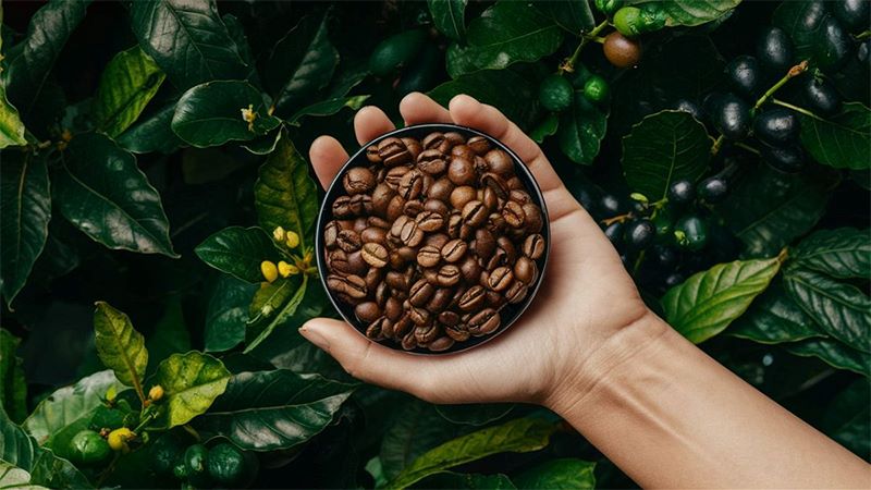 اگر قهوه بیدارتان نمیکند، تکنیک «نپوچینو» را امتحان کنید ؟