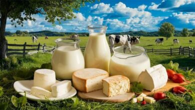 حذف لبنیات به بهانه طبع سرد، علمی نیست !!